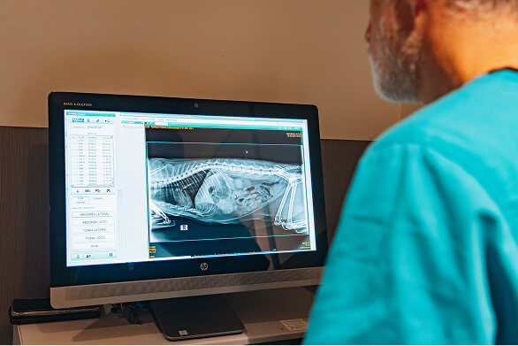 Ecografía y radiología