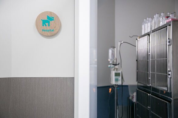 Zona de hospitalización general